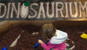 Learning and exploring at the Garden State Discovery Museum