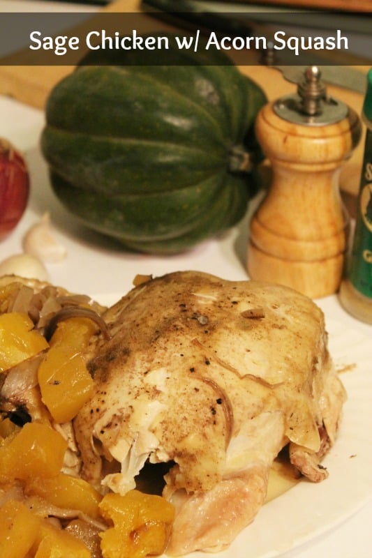 slow cooker sage chicken with acorn squash