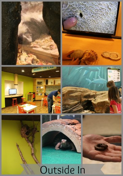 Academy of Natural Sciences Outside In Room