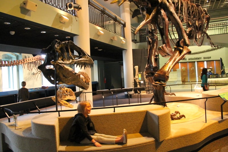 Academy of Natural Sciences Dinosaurs 2