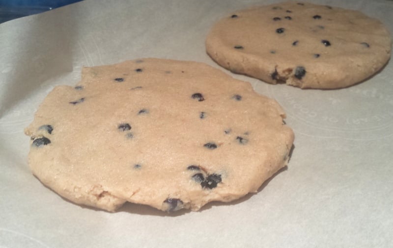 Whole Wheat Blueberry Scones 1 inch thick circles